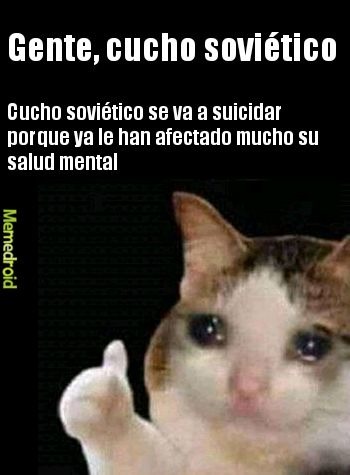 Adios cucho - meme