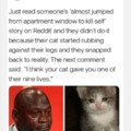 Wholesome story