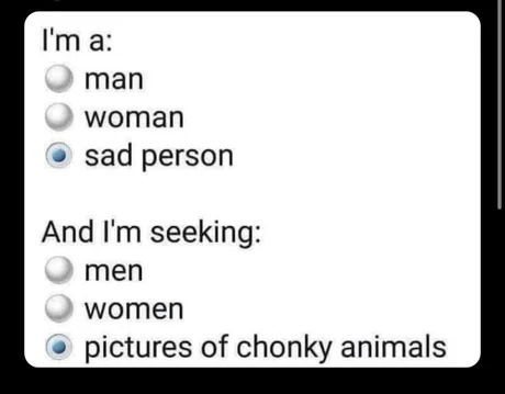 chonky animals - meme