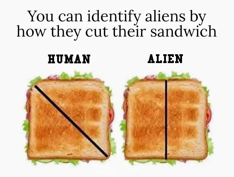 Are you an Alien? - meme