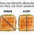 Are you an Alien?