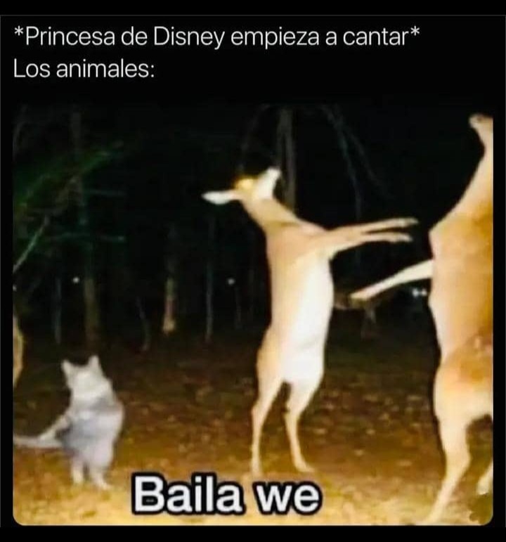 :3 - meme