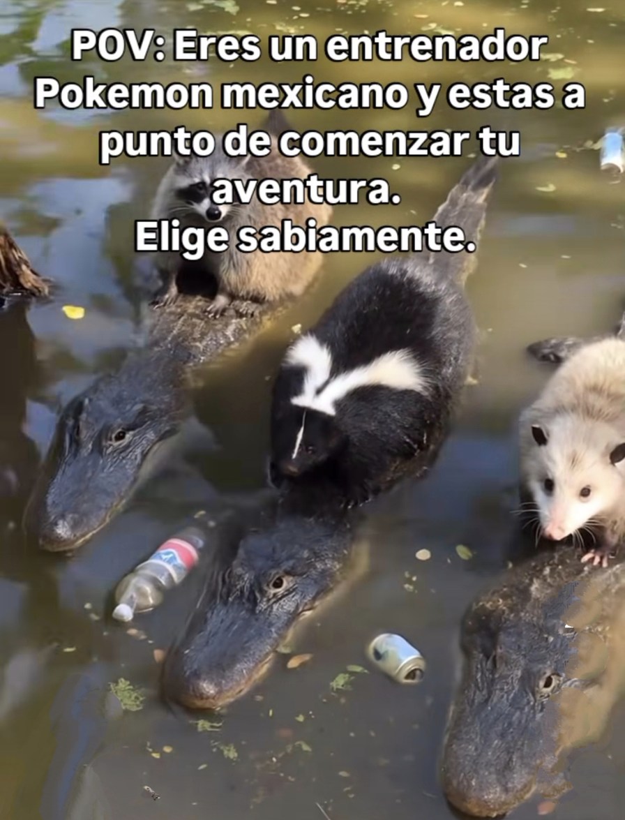 POV: Eres entrenador Pokémon en México y empieza la aventura - meme