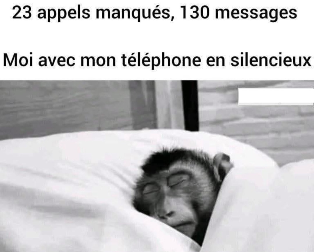 Mon tel en silencieux pendant que le monde s’effondre - meme