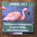 The zoo is getting tired of your shit Phillip