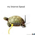 My internet speed