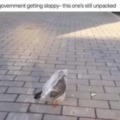 commented item thumbnail