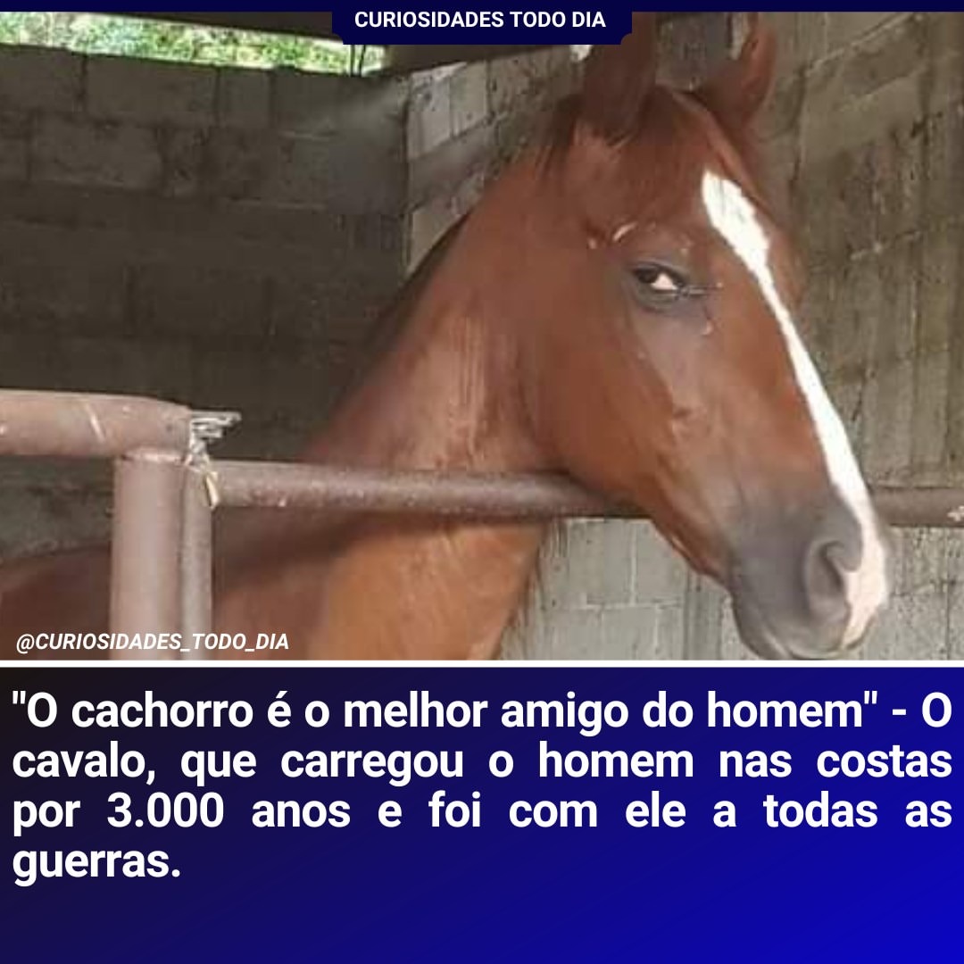 É ainda morria por culpa deles - meme