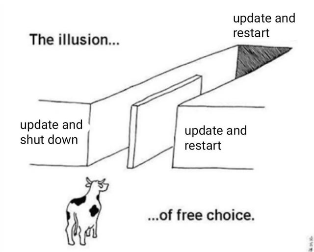 Windows updates really said: free will is an illusion - meme