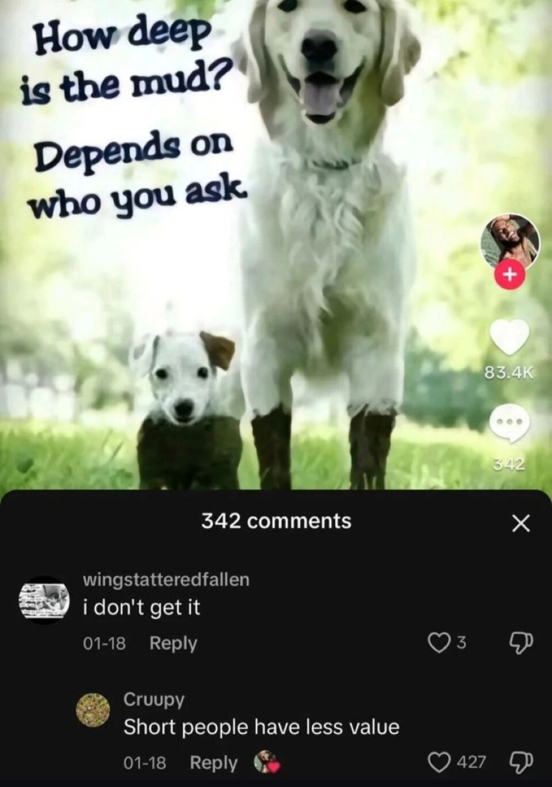 How deep is the mud? Depends who you're asking - meme