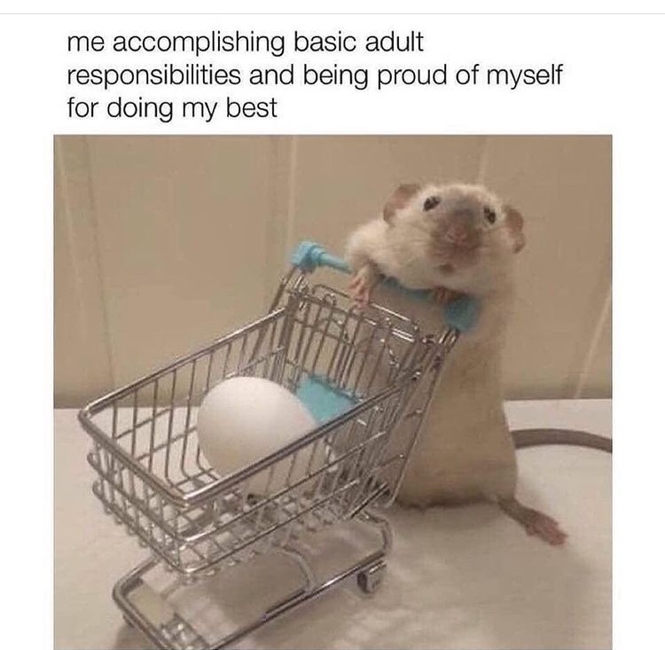 one egg for my rat please - meme
