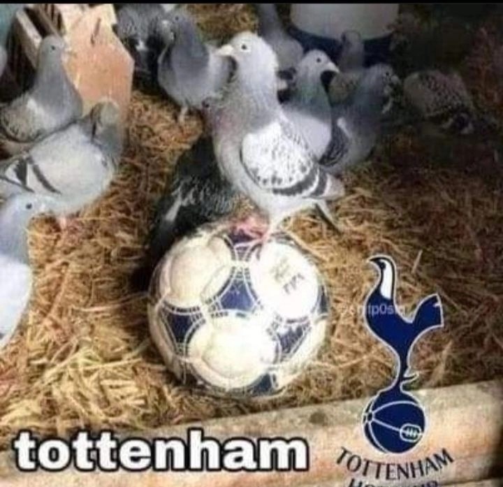 Tottenham - meme