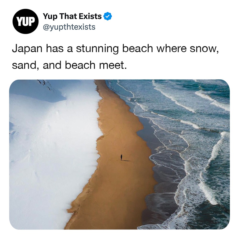 Ski, surf and sandcastles! - meme