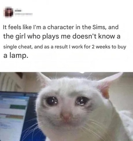I'm a Sims character - meme