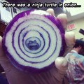 Ninja turtle onion