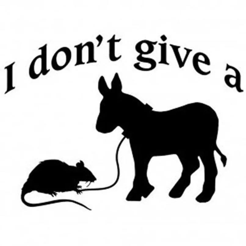 I don't give a rats ass! - meme