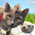 Farcat 3 :D
