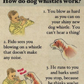 How to: A guide to dog whistles