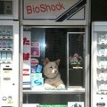Oh, he's selling bioshock