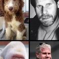 Ron Perlman then and now.