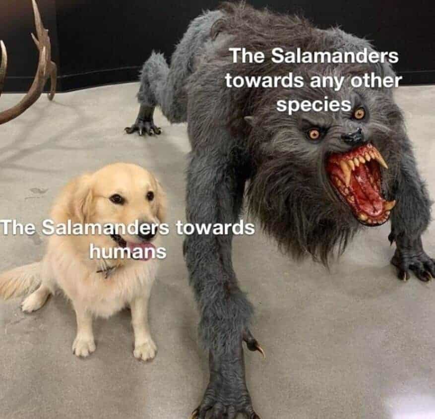 Salamanders are a space marines chapter full of pyromaniacs - meme