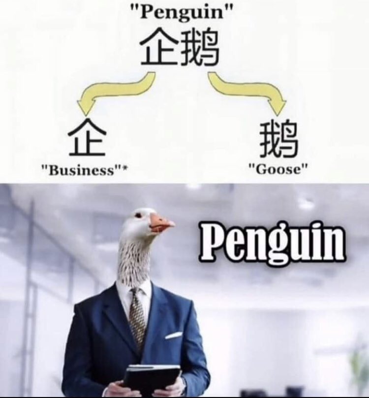 Pingüino - meme