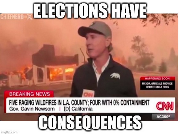 Elections Have Consequences - meme