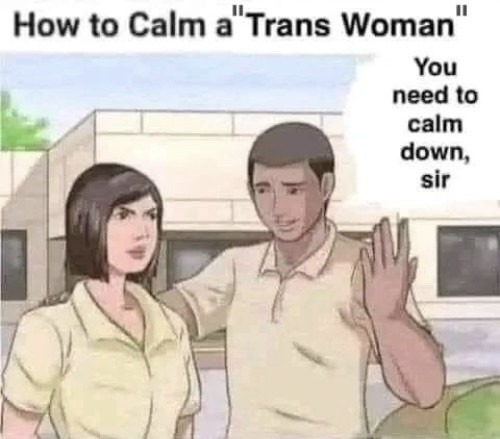 Calm your testicles tranny! - meme