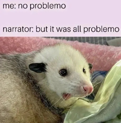 me: no problemo / universe: all problemo - meme