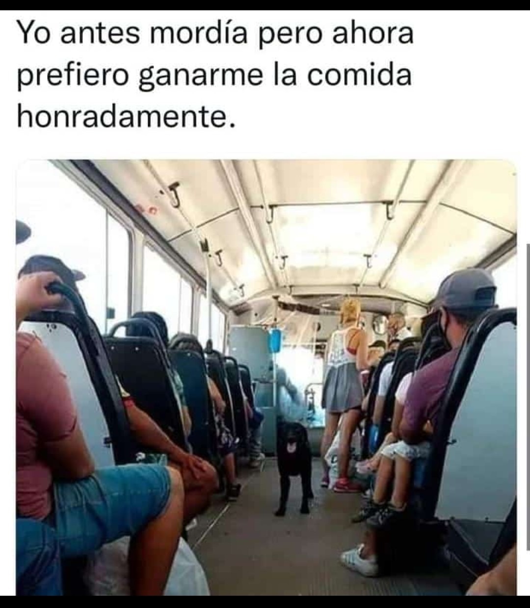 Transporte público en México - meme