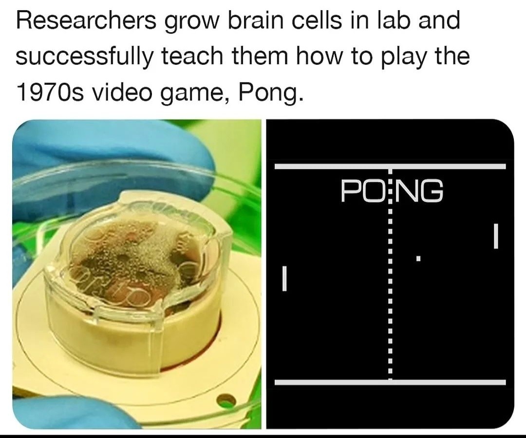 Pong brain - meme