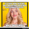 There are only two sexes