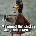Duck is a chicken with a kazoo