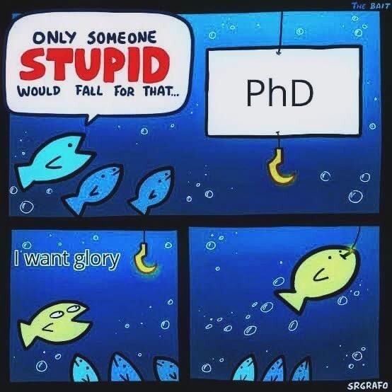 Don't do it. College is stupid, Ph.D.'s are even stupider. - meme