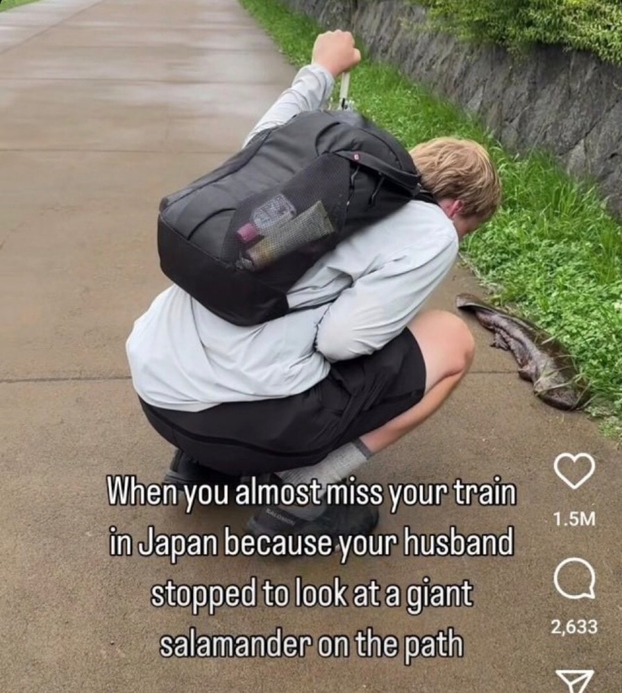 We nearly missed our train in Japan thanks to a giant salamander - meme