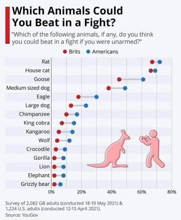 do not fight with animals - meme