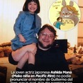 Totoro san