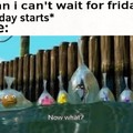Can't wait fro Friday