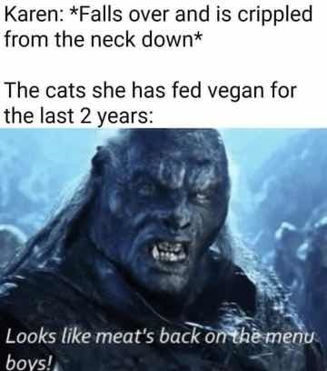 Cats will eat you - meme