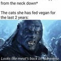 Cats will eat you