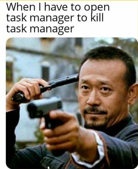 I use the task manager to destroy the task manager - meme