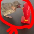 commented item thumbnail
