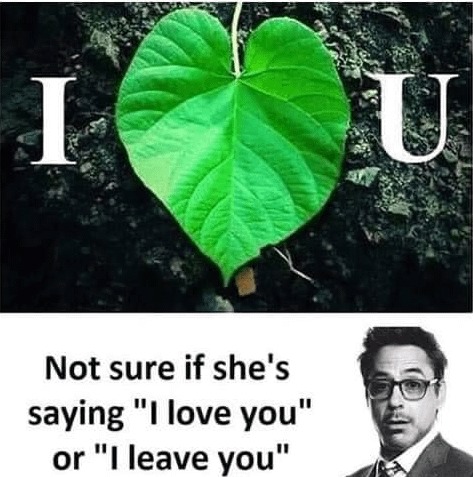 I leave you - meme