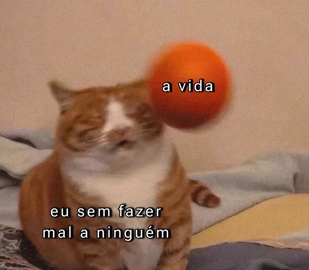 É foda meu parceiro - meme