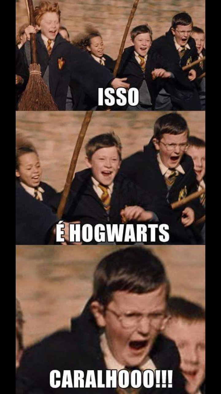 Aquele momento que vc chega em hogwarts - meme