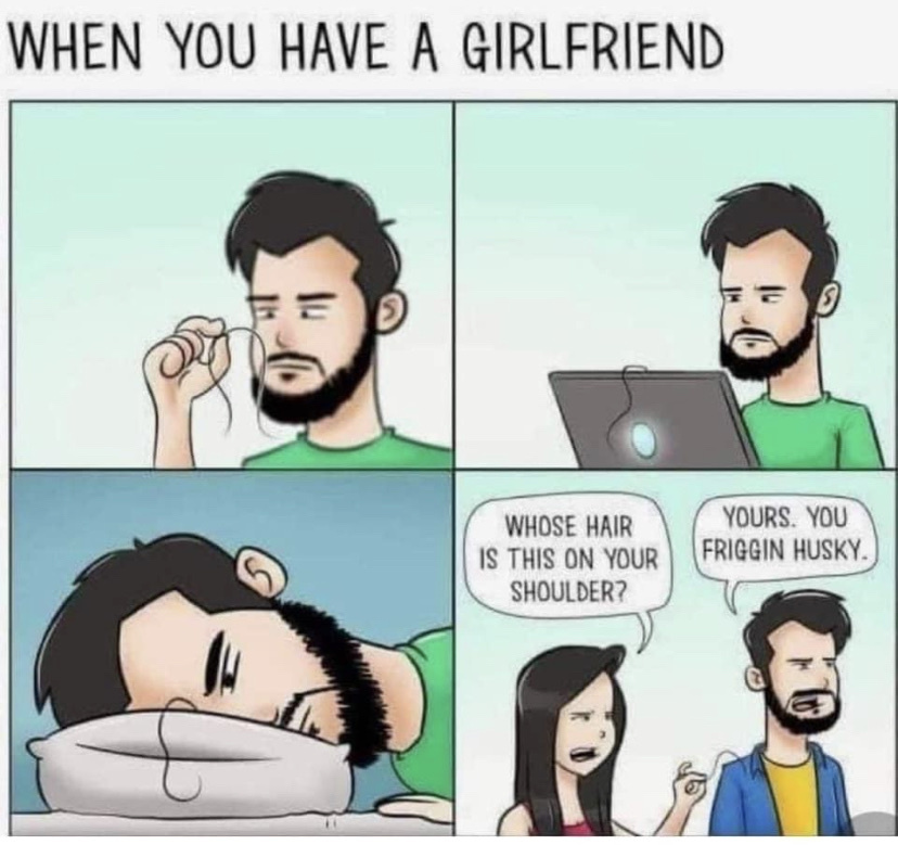 Life with a girl - meme