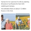 Wholesome farmer
