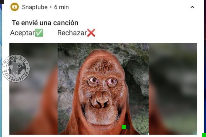 Tengo virus y me sale esto, que hago - meme