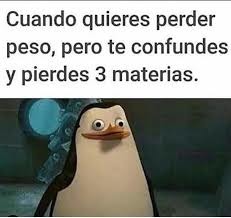 Mierda XD - meme