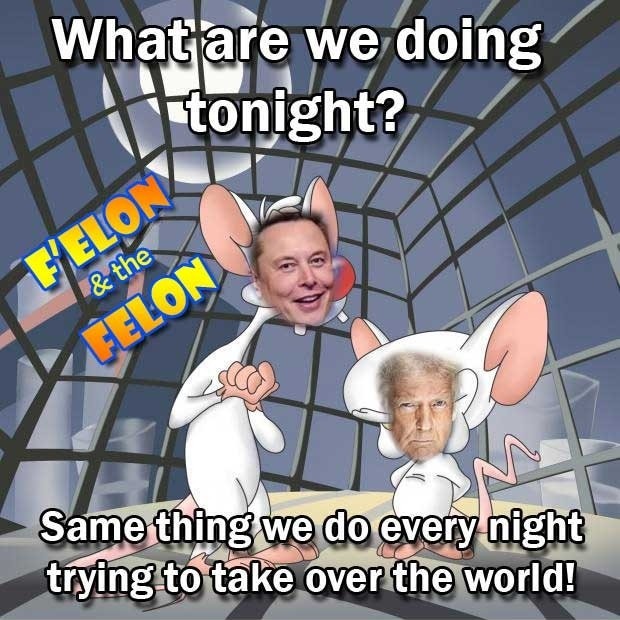 F'elon and the felon - meme